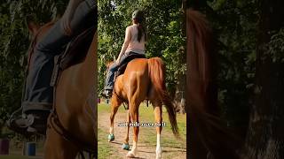 Lets Exercise My Old Barrel Horse Kite barrelracing equestrian horses [upl. by Groeg]