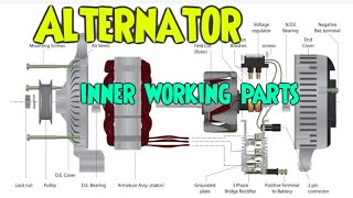 Alternator inner working parts [upl. by Sallie]