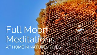 Full Moon Meditation June 2024  At Home in Nature Hives [upl. by Analli]