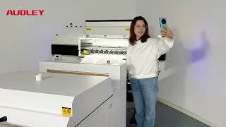 AUDLEY New Arrival 60cm DTF Printer How New Please check dtfprinting inkjetprinter plotter [upl. by Nwahsyd]