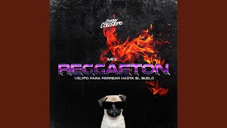 Mix Reggaeton Viejito para Perrear Hasta el Suelo [upl. by Flita396]