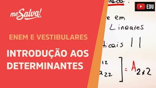 Introdução aos determinantes  ENEM e Vestibulares  Me Salva [upl. by Ayekahs]