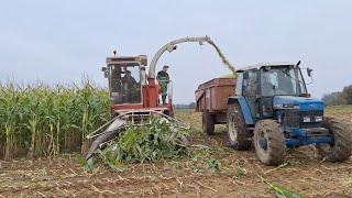 🌽🚜 Ensilage à lancienne chez Clément Pinteaux 🚜🌽 [upl. by Htieh]