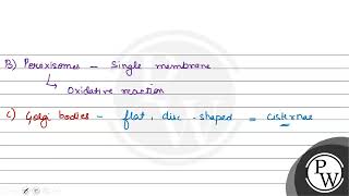 Which is the important site of formation of glycoproteins and glycolipids in eukaryotic cells [upl. by Traci]