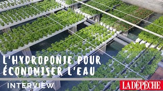 Lhydroponie  nourrir les populations dans des zones arides  Reportage La Dépêche du Midi [upl. by Pavlov]