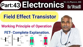 Field Effect Transistor Working in Tamil [upl. by Magdaia523]