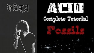 acid by fossils guitar lesson [upl. by Honor157]