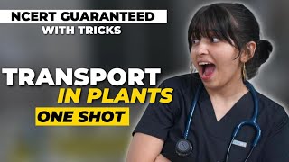 Transport in Plants One shot  Class 11th  NCERT Crash Course [upl. by Lupe]