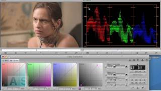 Avid Screencast 28 Color Correction Basics VII  Vignettes and WrapUp [upl. by Edahs]