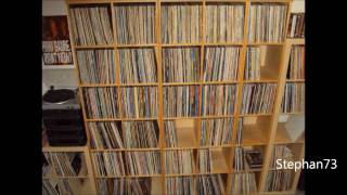 The Vinyl Community Record Shelves Yearbook [upl. by Bashemeth]