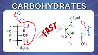 Fischer to Haworth shortcut for Glucose and Fructose [upl. by Aizat]