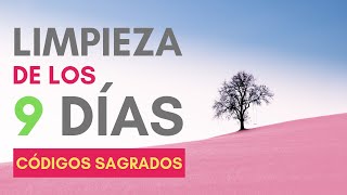 🏆 Limpieza de los 9 días  Códigos Sagrados de Agesta [upl. by Lalaj]