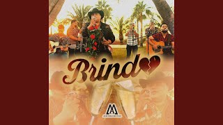 Brindo [upl. by Puttergill]