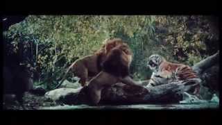 Roar 1981 Movie With Lions In The House Opening Door Scene [upl. by Jerrome28]