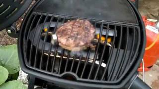 Landmann Pantera Grilltest 4 von Biggreeneggshop24de [upl. by Aletsirc]