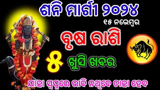 ବୃଷ ରାଶି ଶନି ମାର୍ଗୀ brusha Rashi November 2024 Rashifala  brusha rashi shani Margi 2024 [upl. by Agatha]