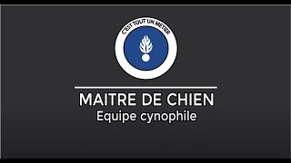 Cest tout un métier  Les maîtres de chien [upl. by Eneleoj]