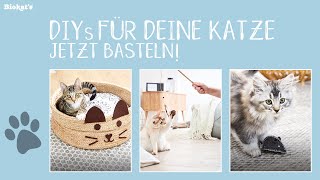 DIY  3 Katzenspielzeuge zum selber machen  einfach und günstig [upl. by Dominy124]