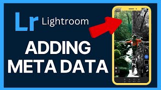 How to Add Meta Data in Lightroom 2024 [upl. by Warchaw]