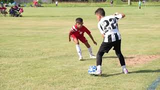 Almeyda 2013 vs Juventus [upl. by Petty]