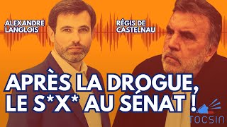 Bayrou sxtape JO  la débâcle des institutions   Alexandre Langlois et Régis de Castelnau [upl. by Doran608]