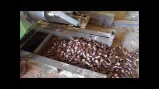 Infinite Energy Briquette Machine Betal Nut Husk Areca Nut Husk [upl. by Zetnod]