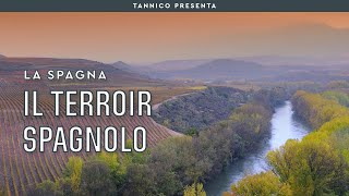 Il vino spagnolo e il suo terroir  Tannico Flying School [upl. by Etnovahs]