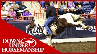 Clinton Anderson 2016 Walkabout Tours  Downunder Horsemanship [upl. by Botti]