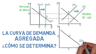 Curva de demanda agregada ¿cómo se determina  Cap 30  Macroeconomía [upl. by Heber]