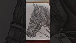 Horse drawing quot Sketch sketch shorts trending viral art [upl. by Layod80]