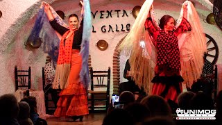 Flamenco Zambra danza gitana nelle grotte del Sacromonte in Granada  Cueva venta el Gallo [upl. by Gathard]