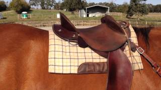 Kent Western Drafter Saddle Review  Australian Halfbreed [upl. by Nylavad]