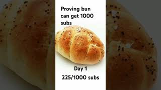 Proving bun can get 1000 subs [upl. by Nohpets]