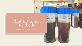 Plant Extraction Methods  Decoction and Maceration  JPTV [upl. by Poler626]