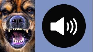 Dog barking sound effect chien qui grognesoundeffect bruitage [upl. by Maupin]