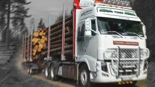 Timber truck loading  Sweden [upl. by Yddet408]