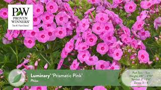 Perennial plant recommendations for the Northern US Zones 24 [upl. by Nnyleuqcaj]