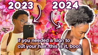 The TRUTH On How I Achieved MASSIVE Growth After My BIG CHOP 1Year Natural Hair Journey  PICS 🎀 [upl. by Bald68]