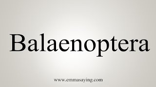 How To Say Balaenoptera [upl. by Doraj980]