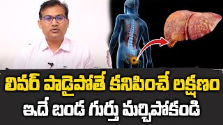 Liver Damage Symptom  లివర్ పాడైపోతే కనిపించే మొదటి లక్షణం  SumanTV Happy Time [upl. by Sydelle]