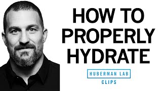 How to Properly Hydrate amp How Much Water to Drink Each Day  Dr Andrew Huberman [upl. by Anirrak]