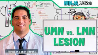 Neurology  Upper Motor Neuron vs Lower Motor Neuron Lesion  UMN vs LMN Lesion [upl. by Jodie]