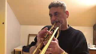 CORNET CHOP SUEY By Louis Armstrong Trumpet Enrico Matuchet [upl. by Dnilazor833]