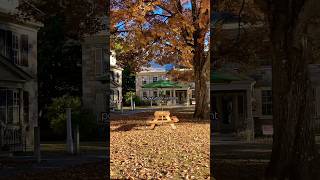 Woodstock amp Burlington Vermont🍁 wanderlust wanderwithus nature autumn vermont travelvlog [upl. by Atcliffe631]