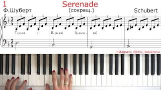 SERENADE SCHUBERT easy СЕРЕНАДА ШУБЕРТ ЛЕГКАЯ ВЕРСИЯ НА ПИАНИНО PIANO Очень красивая мелодия Simple [upl. by Baker272]