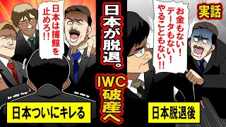 【実話】日本が脱退したＩＷＣ破産へ。「日本は捕鯨をやめろ！」執拗な攻撃に日本がキレて脱退したら、予算もデータもやることもなくなる‥ [upl. by Rinum]