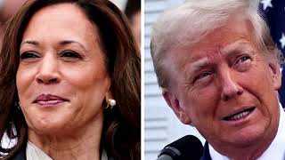 A US elections prophet predicts a Harris win in November  REUTERS [upl. by Hiamerej]