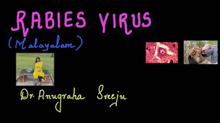 RABIES VIRUS  MALAYALAM MICROBIOLOGY FOR MEDICOS [upl. by Evangelist735]