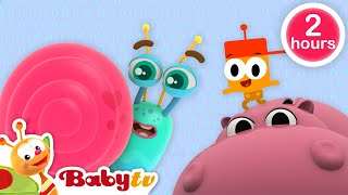 beste van BabyTV 8 😍 kinderliedjes en tekenfilms volledige afleveringen BabyTVNL [upl. by Aeneas706]