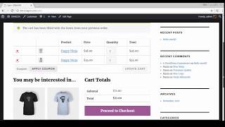 Demo Checkout for WooCommerce CyberSource Payment Gateway cybersource woocommerce wordpress [upl. by Marie-Ann]